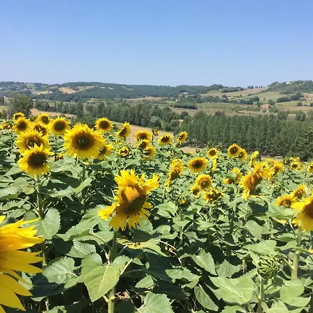 Nocleg ze śniadaniem Sassios